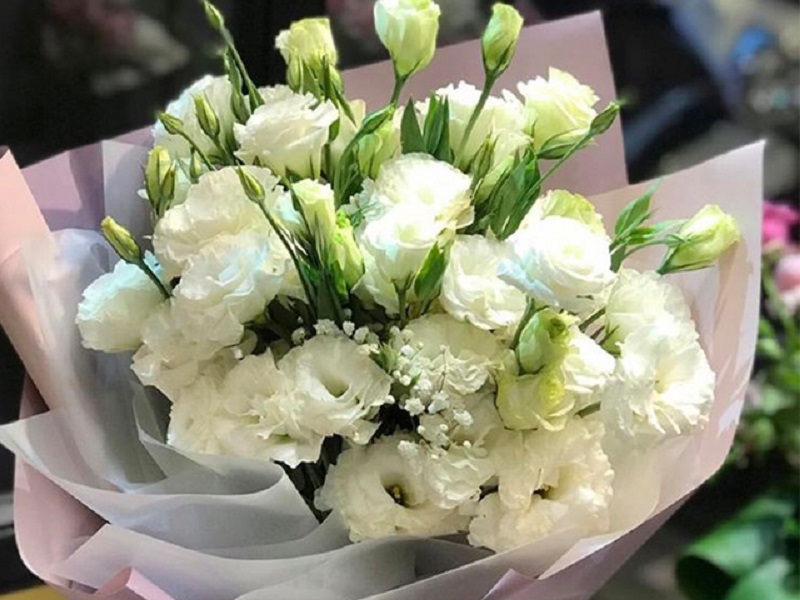 Bouquet of white lisianthus flowers