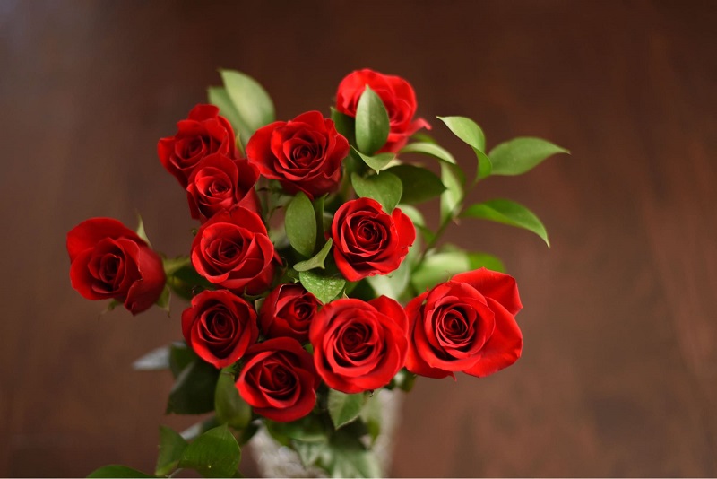 Red roses are a symbol of love